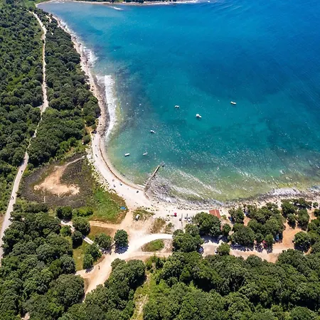 Attractive In With Terrace