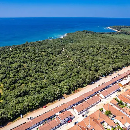 Attractive In With Terrace Apartamento *