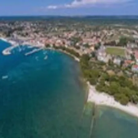 Attractive In With Terrace