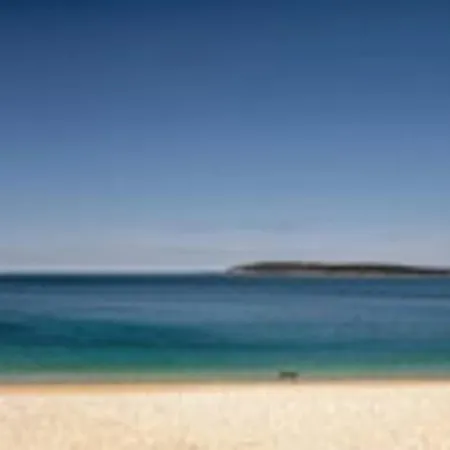 Attractive In With Terrace 아파트 *