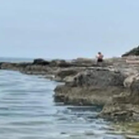 Attractive In With Terrace Apartamento