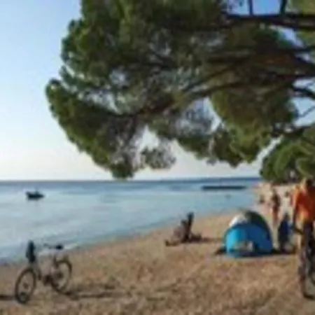 Attractive In With Terrace