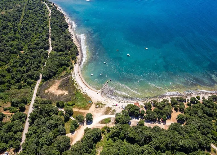 Attractive In With Terrace