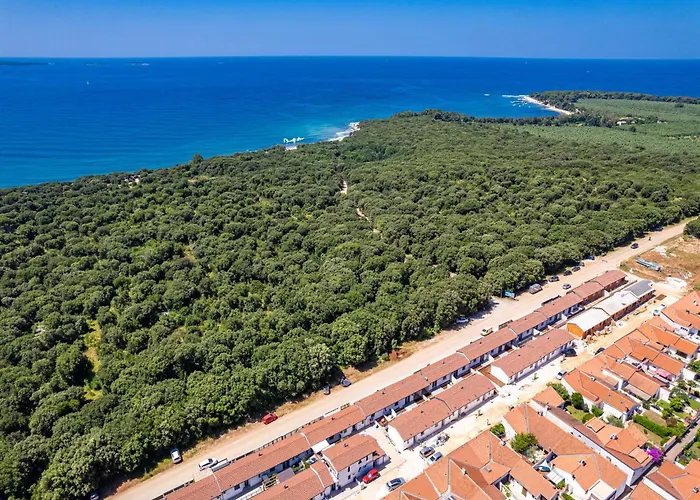 Attractive In With Terrace Appartement *