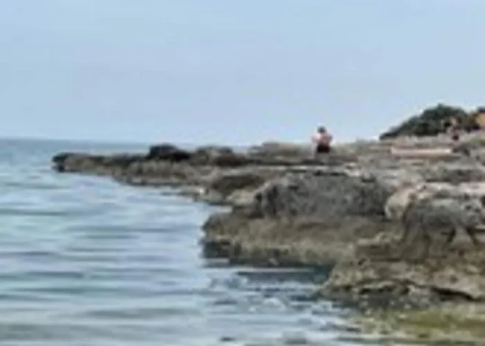 Attractive In With Terrace Appartement