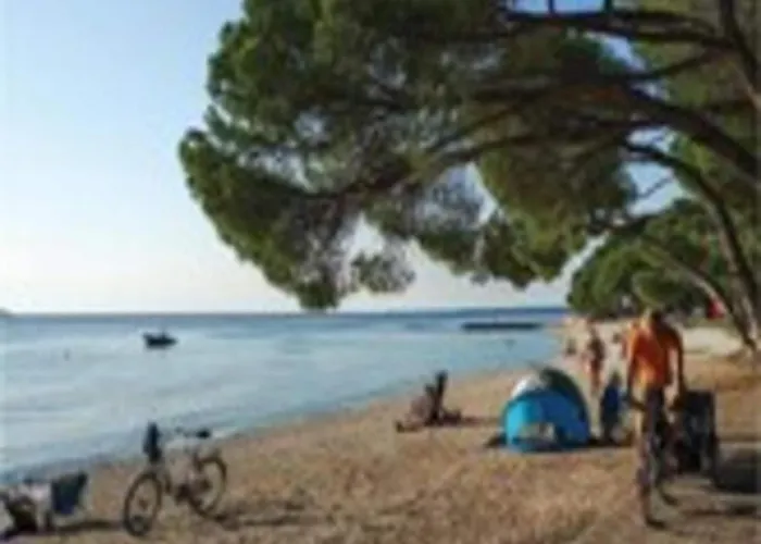 Attractive In With Terrace